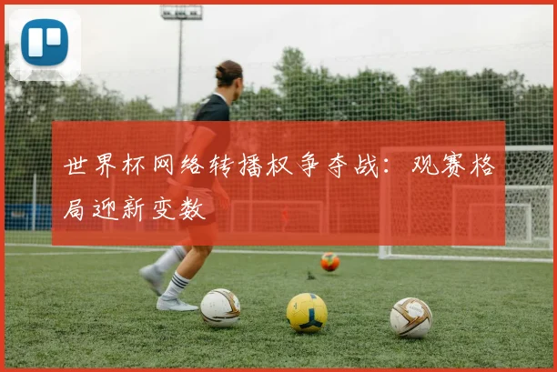 世界杯网络转播权争夺战：观赛格局迎新变数