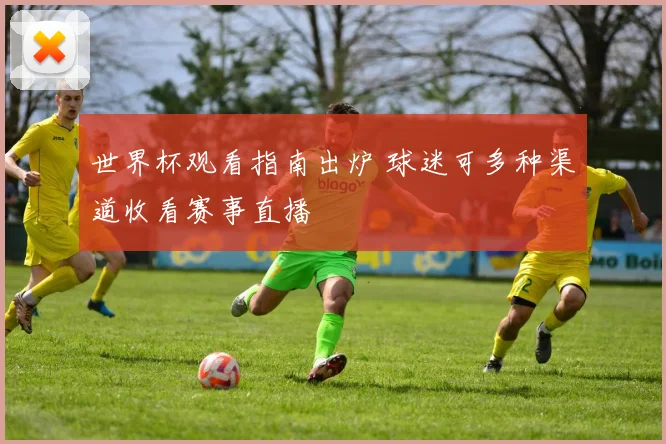世界杯观看指南出炉 球迷可多种渠道收看赛事直播