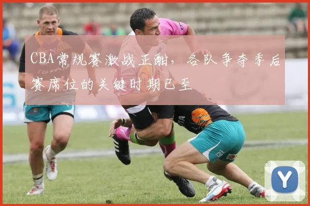 CBA常规赛激战正酣，各队争夺季后赛席位的关键时期已至