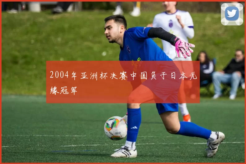 2004年亚洲杯决赛中国负于日本无缘冠军