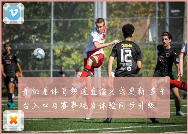 手机看体育频道直播方式更新 多平台入口与赛事观看体验同步升级