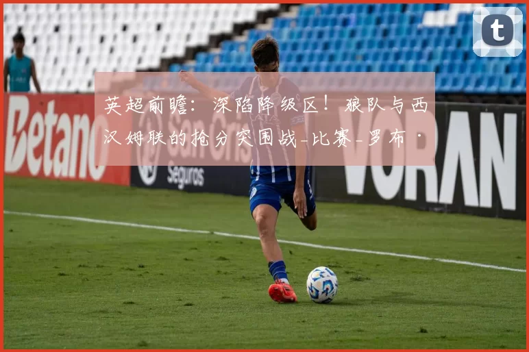 英超前瞻：深陷降级区！狼队与西汉姆联的抢分突围战_比赛_罗布·爱德华兹_莫利纽